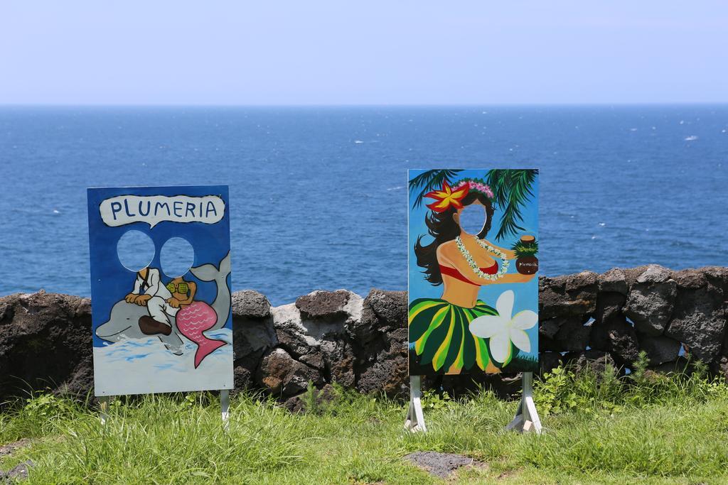 Plumeria Pension Jeju Esterno foto